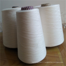 Fil cru 100% de viscose de rayonne pour tricoter le tricotage à la main